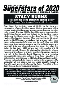 3463 - Stacy Burns - The Console Purist