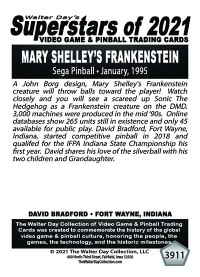 3911 - Mary Shelley's Frankenstein - David Bradford